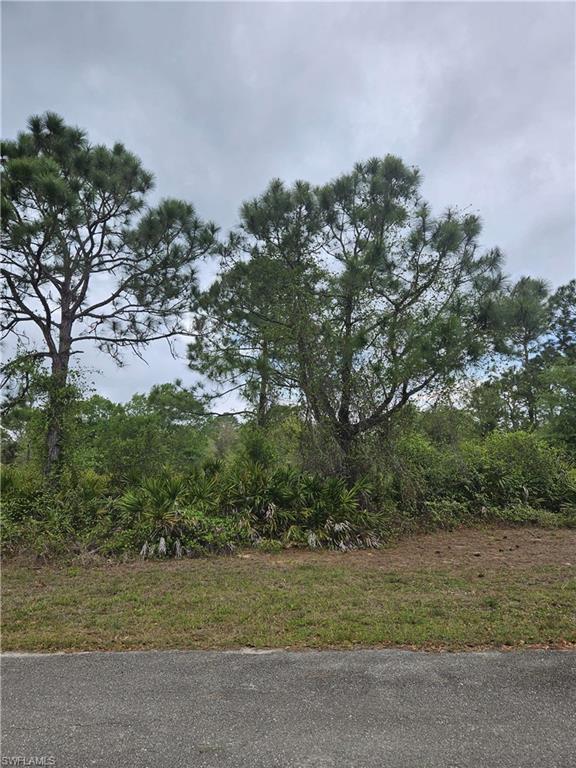 1711 Clayton Ave Property Photo 7