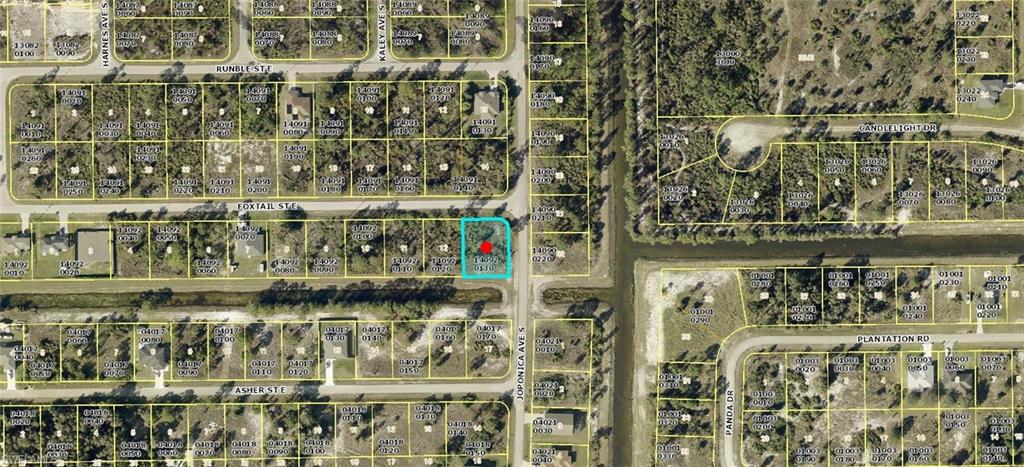 860 Foxtail St Property Photo 1