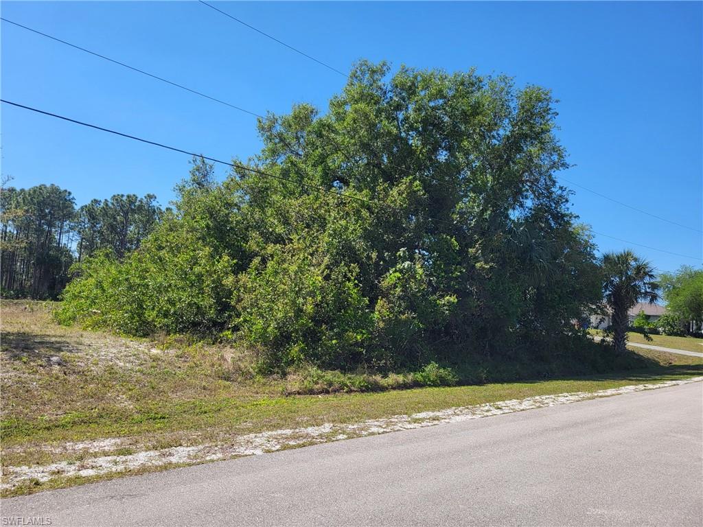 14100 Chancellor St Property Photo 3
