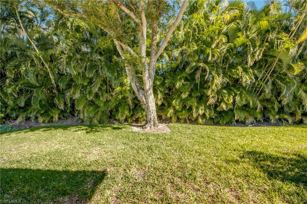 8664 Patty Berg Ct Property Photo 34