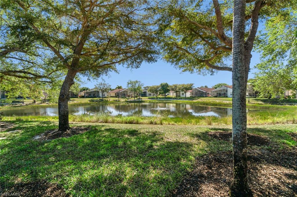 9011 Springview Loop Property Photo 6