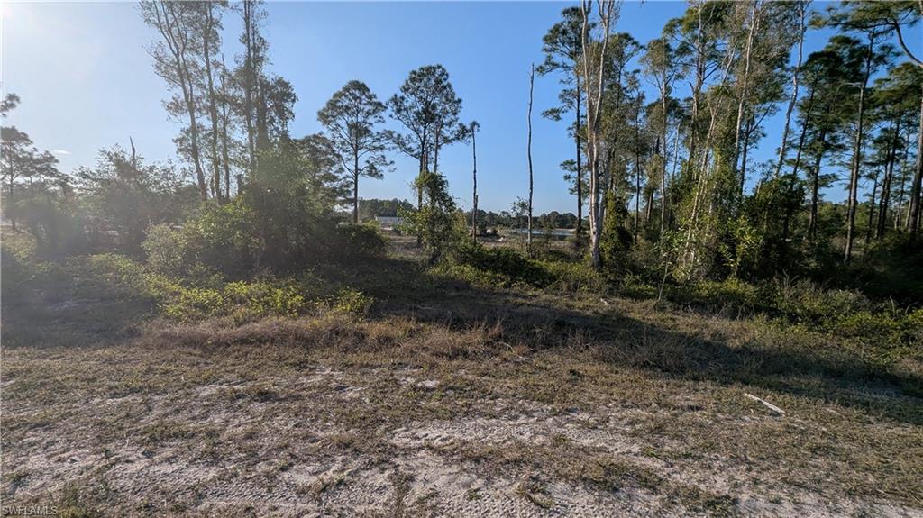 461 Burrstone Dr Property Photo 5