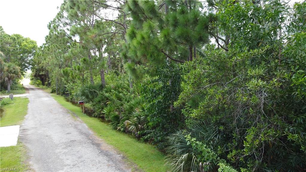 3582 Snow Bird Ln Property Photo 5