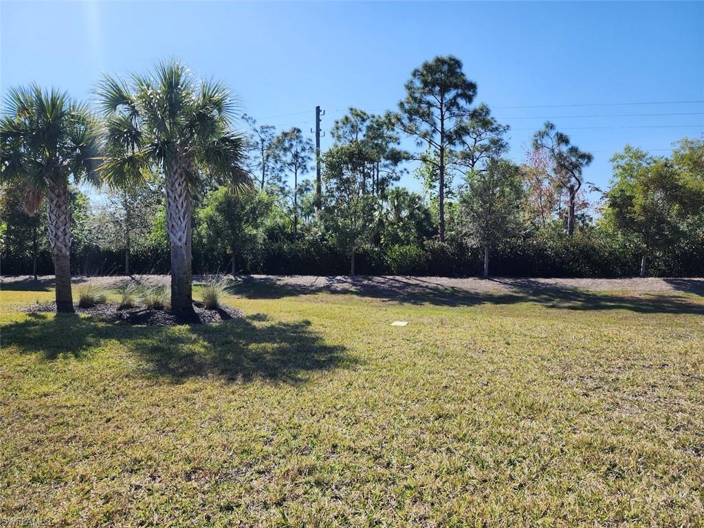 3938 Spotted Eagle Way Property Photo 19