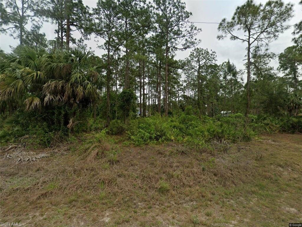 1114 Magnolia Ave Property Photo 2