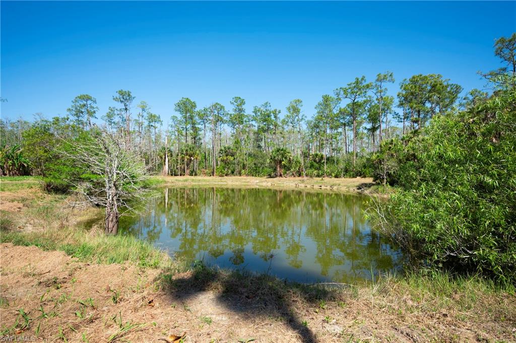19261 Burgundy Farms Rd Property Photo 10