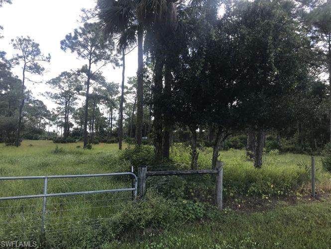 19950 Palm Beach Blvd Property Photo 3