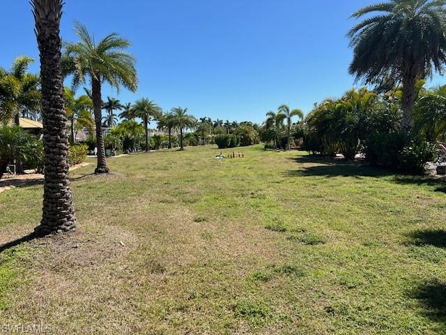 10228 Meadow Beauty Trl Property Photo 11