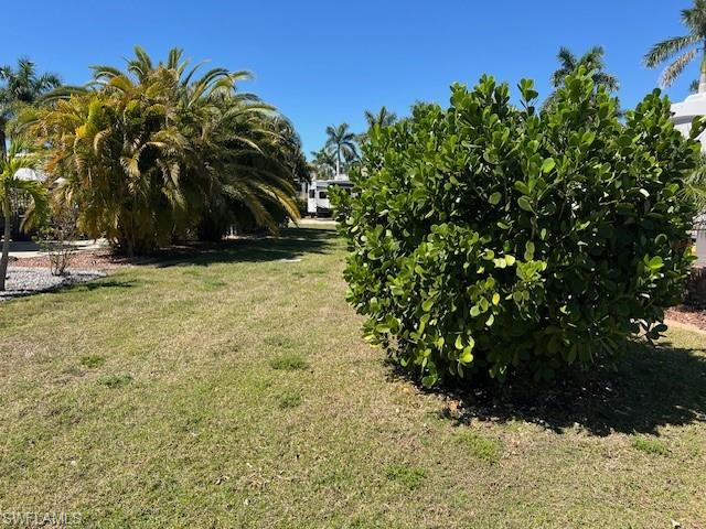 10228 Meadow Beauty Trl Property Photo 12