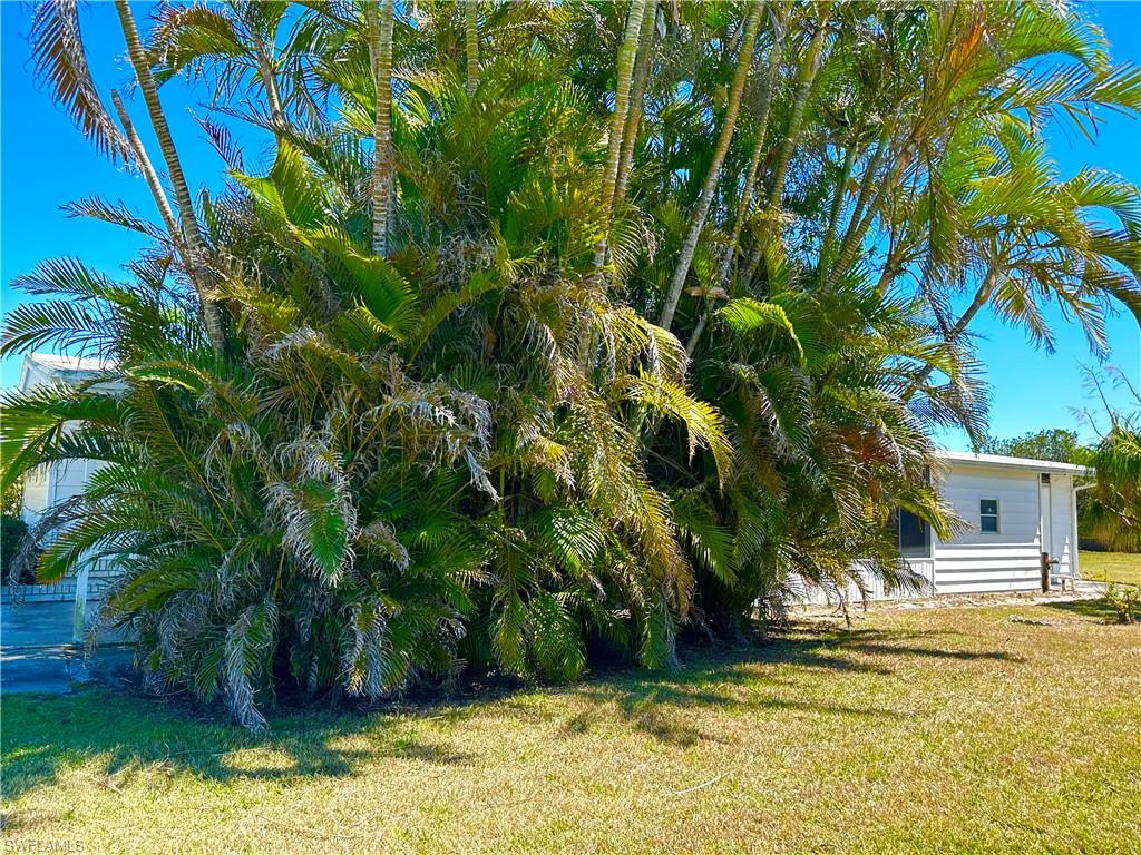 26242 Colony Rd Property Photo 31