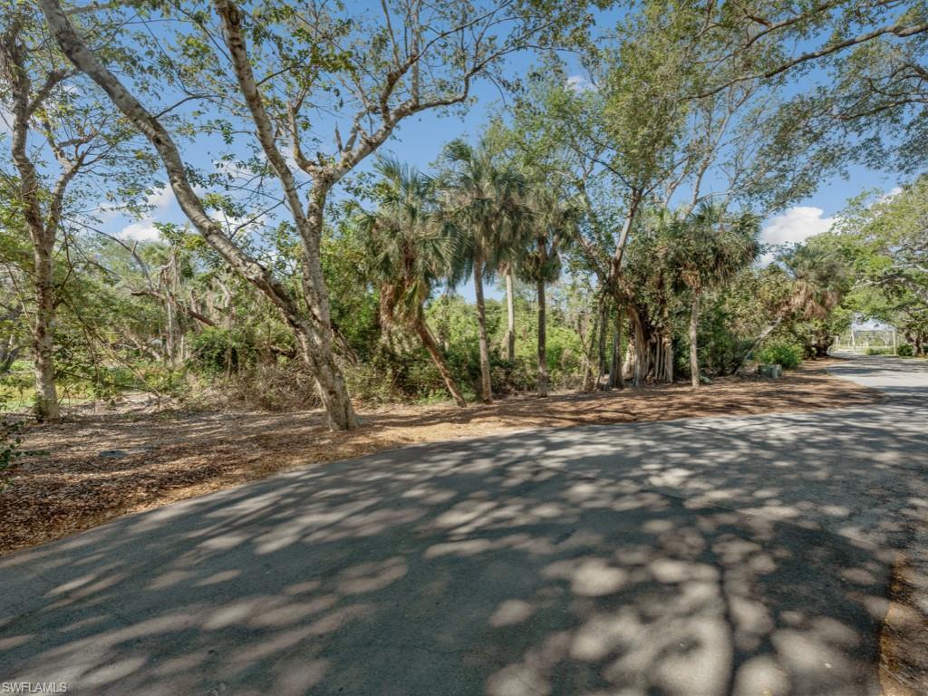 383 Morning Glory Ln Property Photo 3