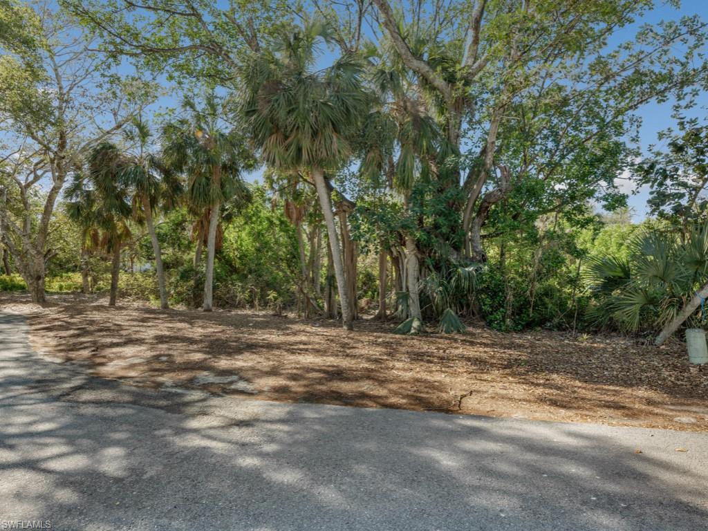 383 Morning Glory Ln Property Photo 5