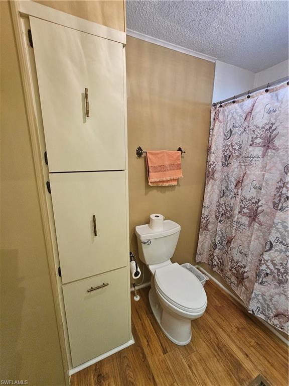 4 Elder St Property Photo 17