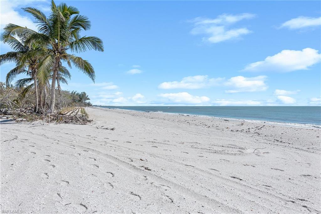 10455 Keewaydin Property Photo 37