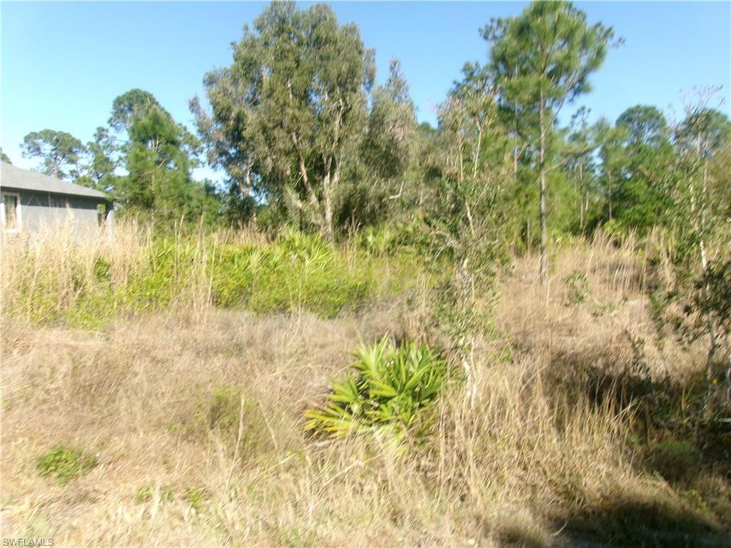 811 Aletha Ave S Property Photo 3