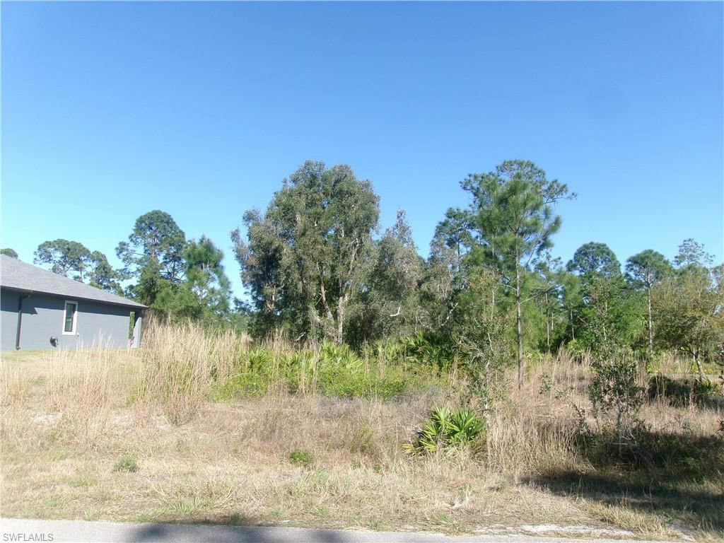 811 Aletha Ave S Property Photo 6