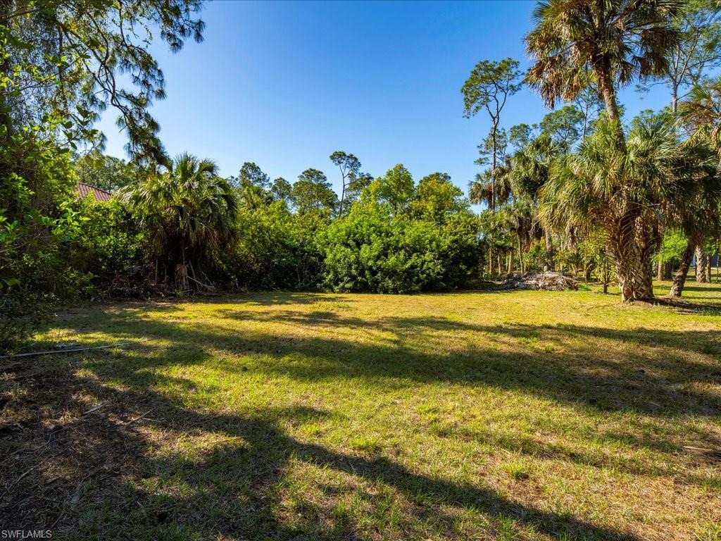 4110 Pine Ridge Rd Property Photo 23