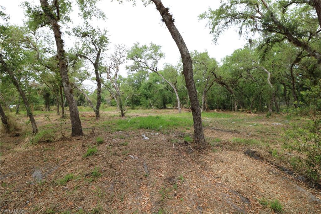 2998 Sw Armadillo Trl Property Photo 4