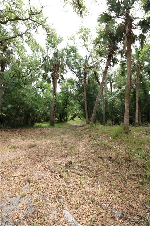2998 Sw Armadillo Trl Property Photo 5