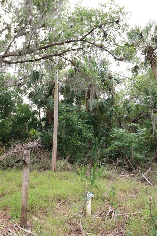 2998 Sw Armadillo Trl Property Photo 7