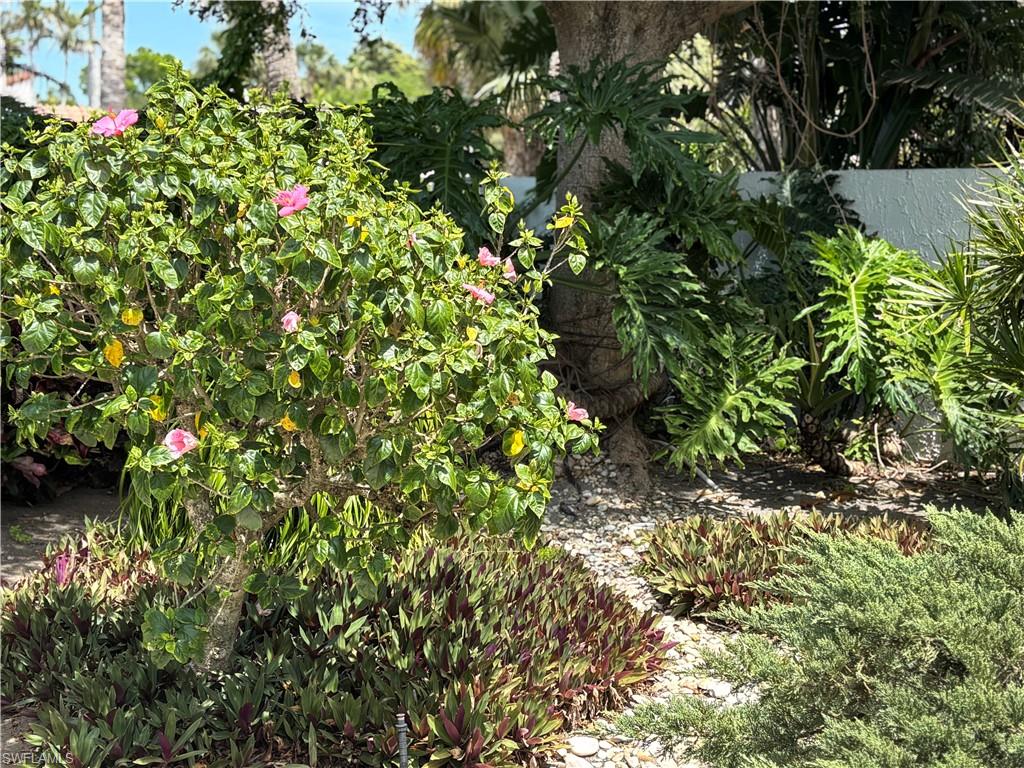537 Tierra Mar Ln W # 40 Property Photo 10