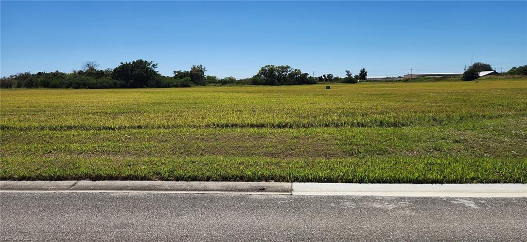 22728 Yellow Button Ln Property Photo 6