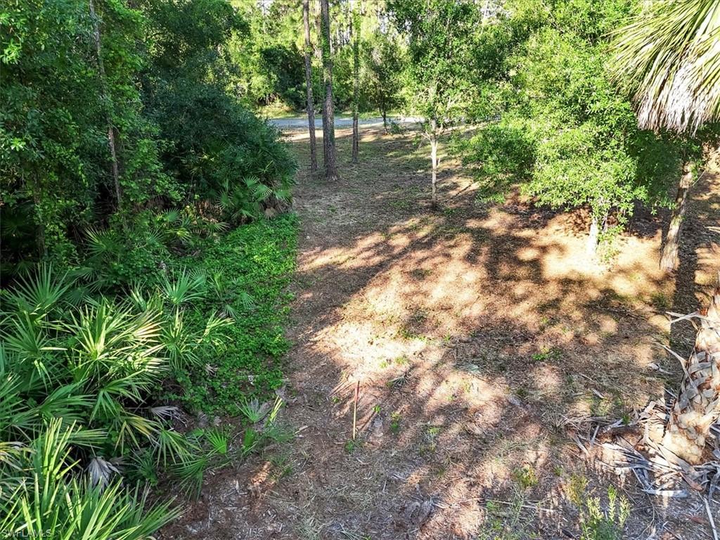 107 Rosemont Pl Property Photo 19