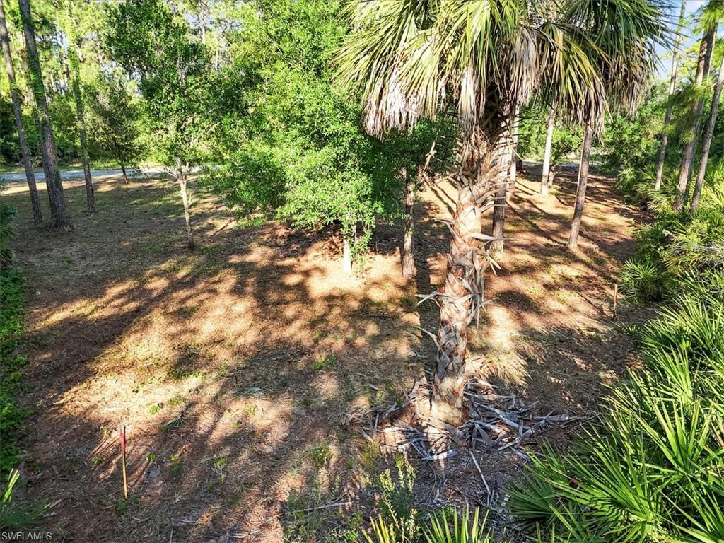 107 Rosemont Pl Property Photo 20