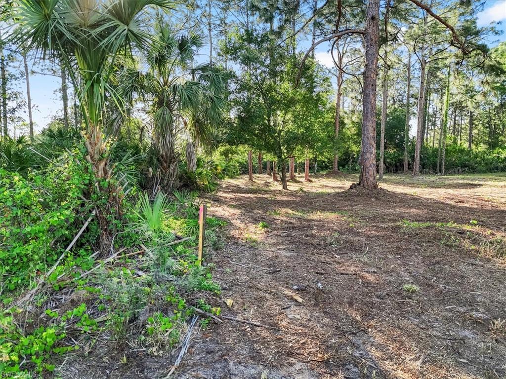 107 Rosemont Pl Property Photo 23