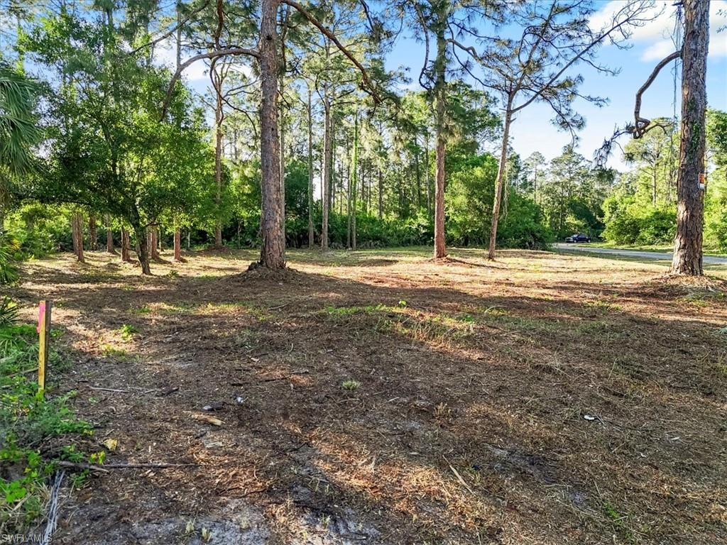 107 Rosemont Pl Property Photo 24