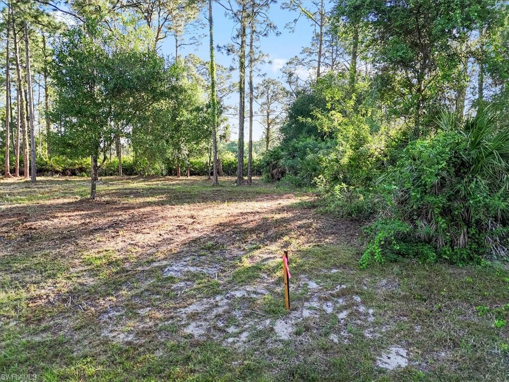 107 Rosemont Pl Property Photo 25