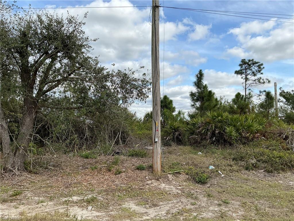 1029 Naples AVE S Property Photo 1