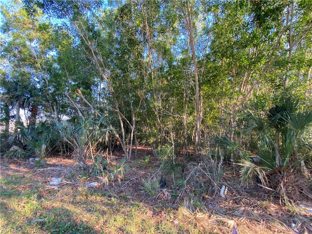 2553 Sunniland Blvd Property Photo 5