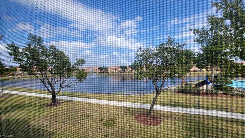 1757 Concordia Lake Cir # 3404 Property Photo 19