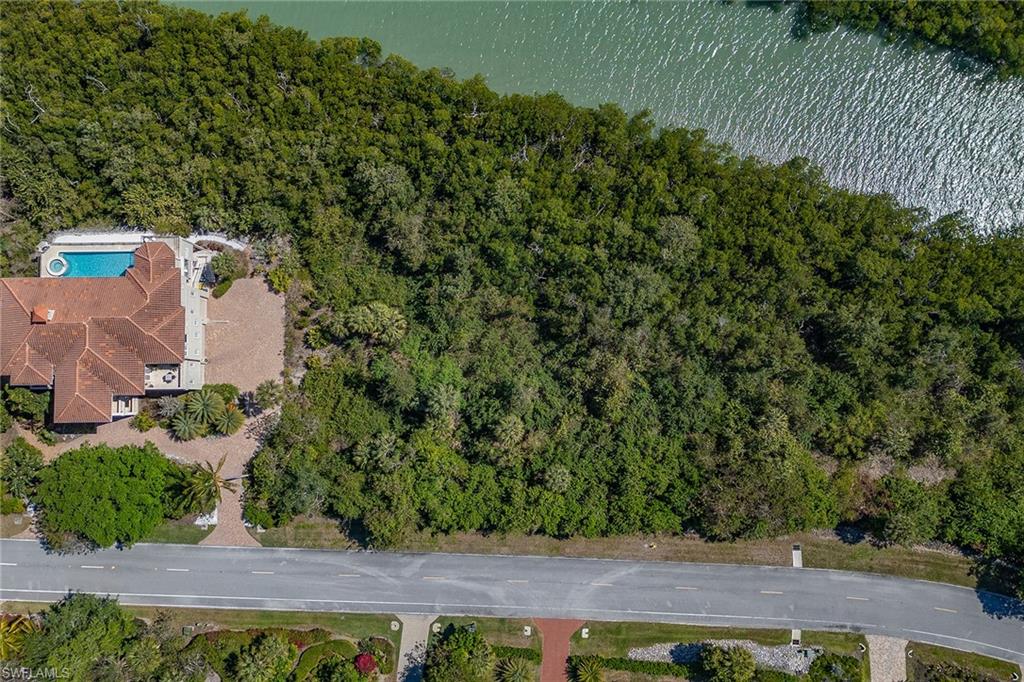 1236 Blue Hill Creek Dr Property Photo 3