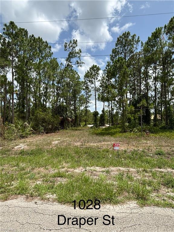 1028 Draper St Property Photo 1
