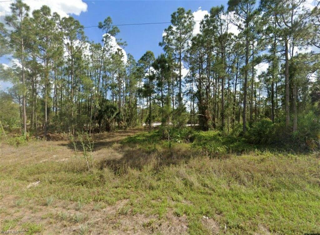 1028 Draper St Property Photo 2
