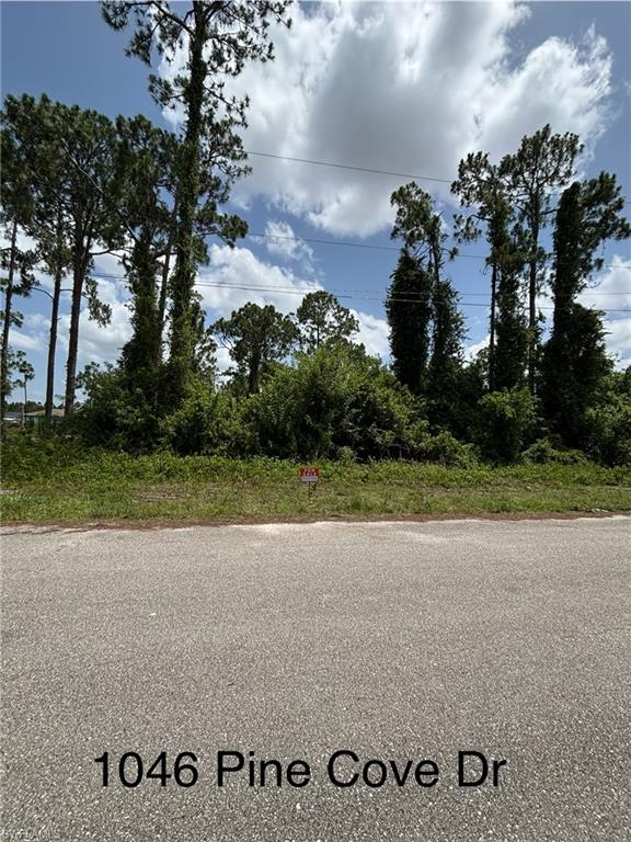 1046 Pine Cove DR Property Photo 1