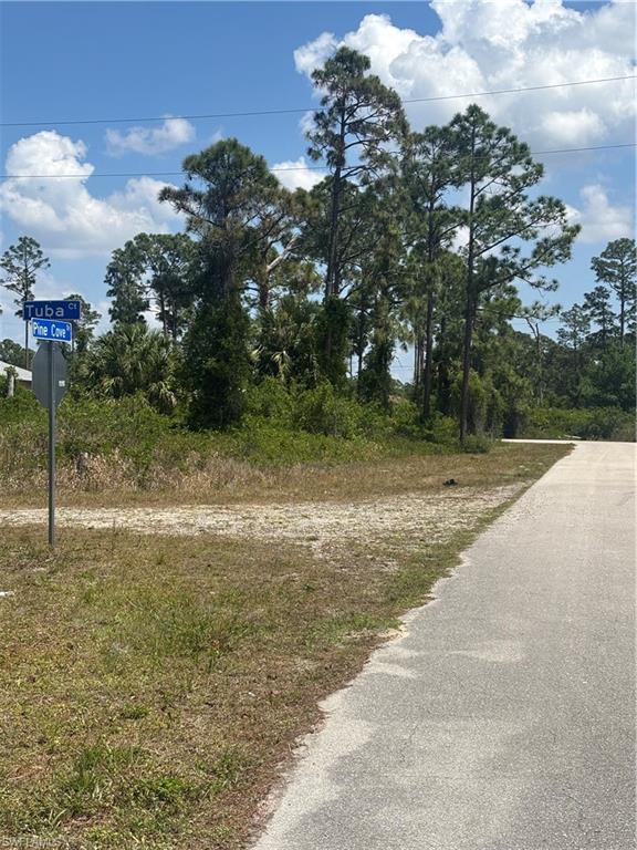1046 Pine Cove Dr Property Photo 2