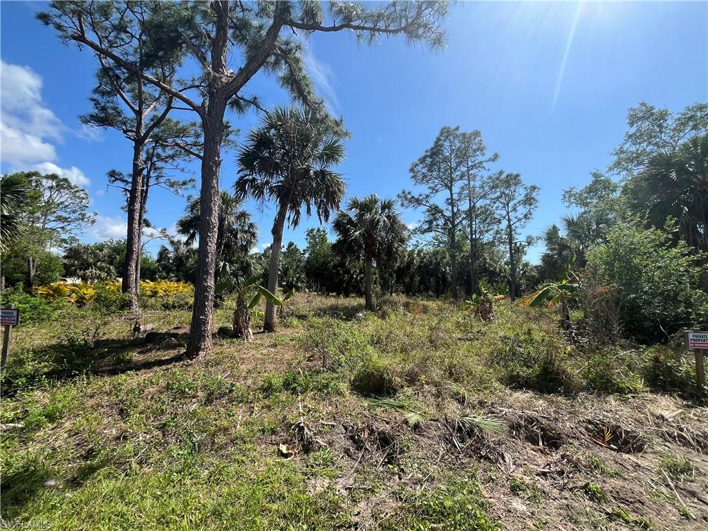 26219 Flower Rd Property Photo 1