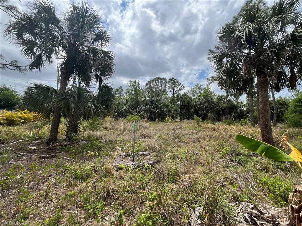 26219 Flower Rd Property Photo 2