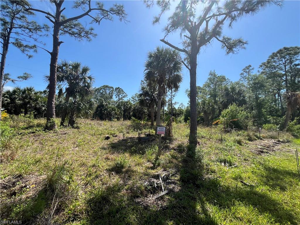 26219 Flower Rd Property Photo 3