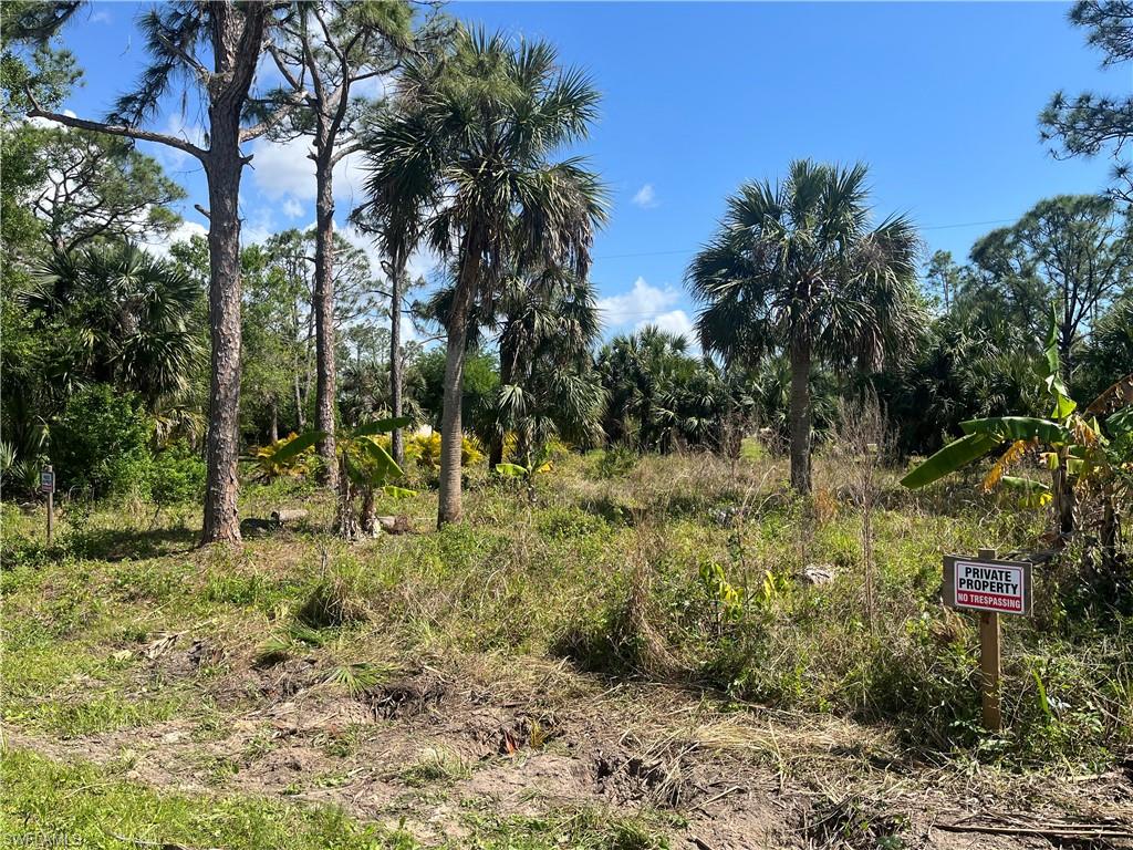 26219 Flower Rd Property Photo 4