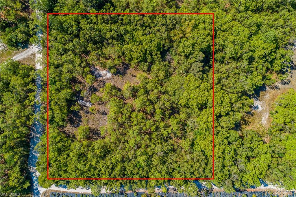 11175 Ladybug Ln Property Photo 2