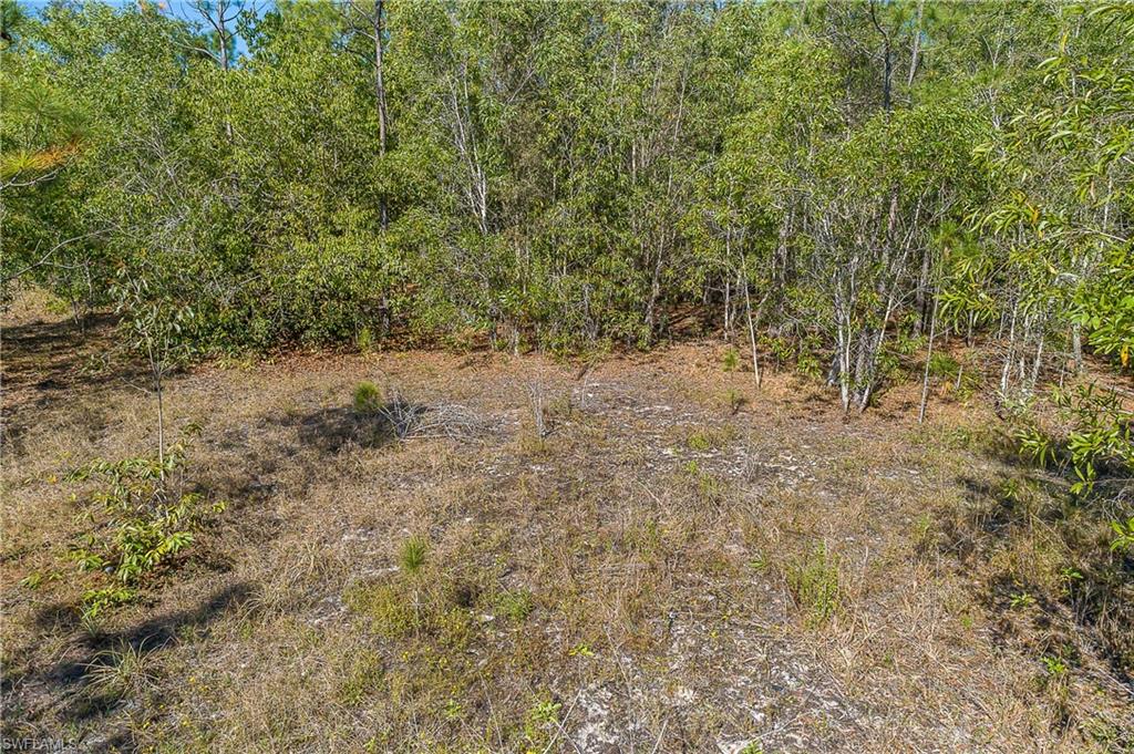 11175 Ladybug Ln Property Photo 7