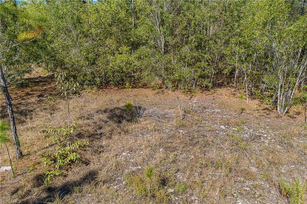 11175 Ladybug Ln Property Photo 8