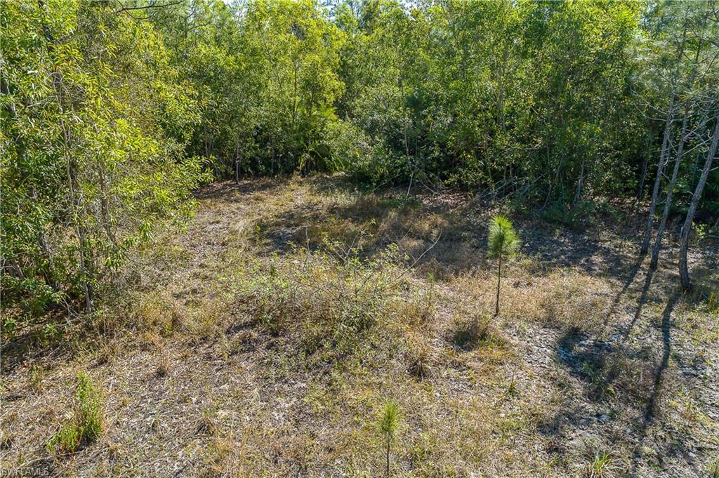 11175 Ladybug Ln Property Photo 10