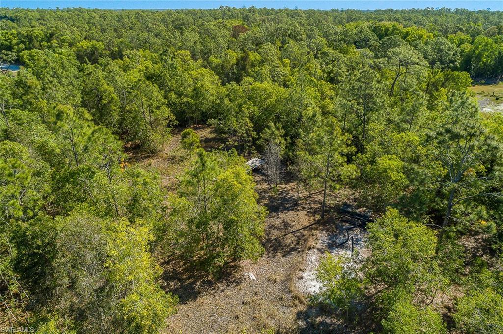 11175 Ladybug Ln Property Photo 11