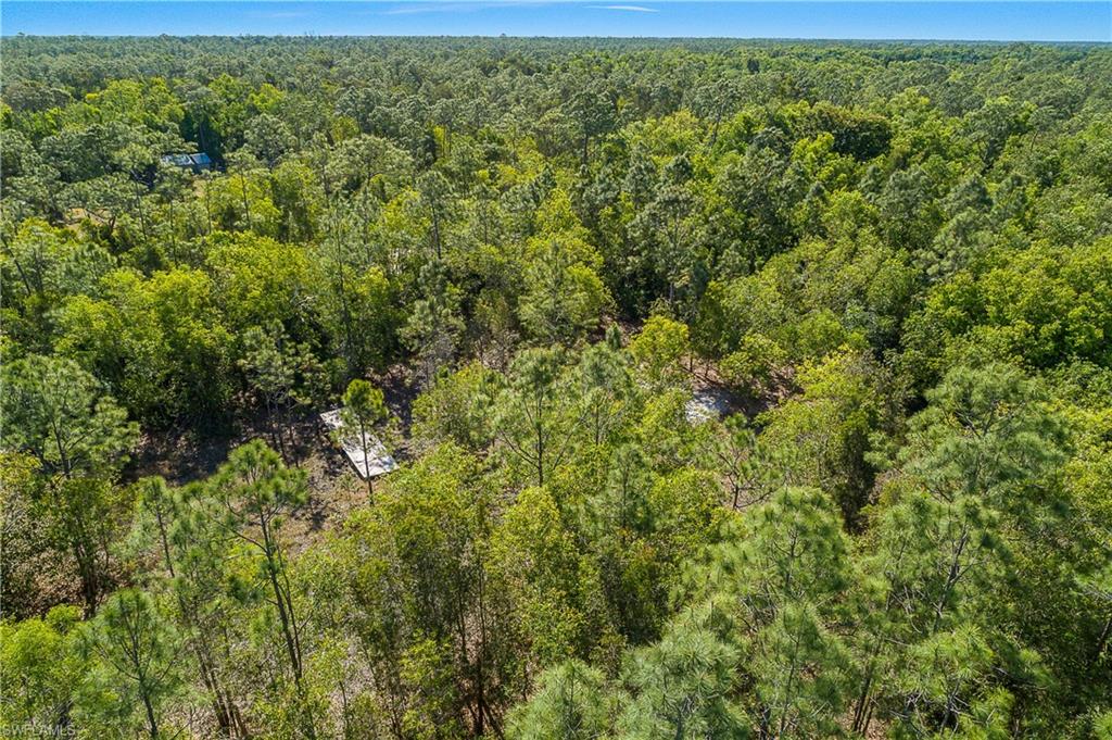 11175 Ladybug Ln Property Photo 12