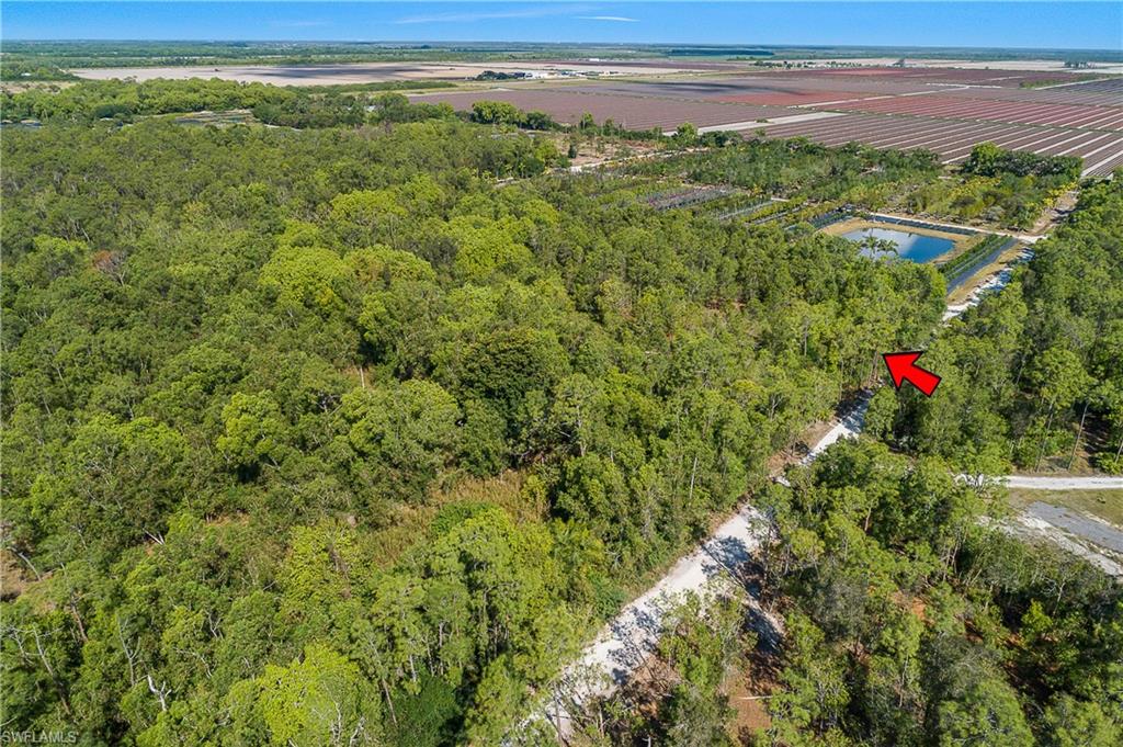 11175 Ladybug Ln Property Photo 13